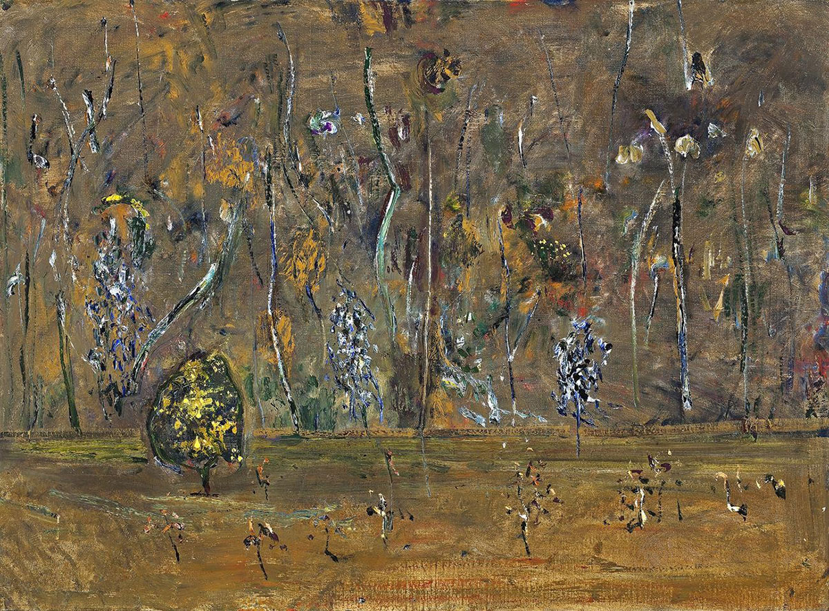 Acacias in the You Yangs II